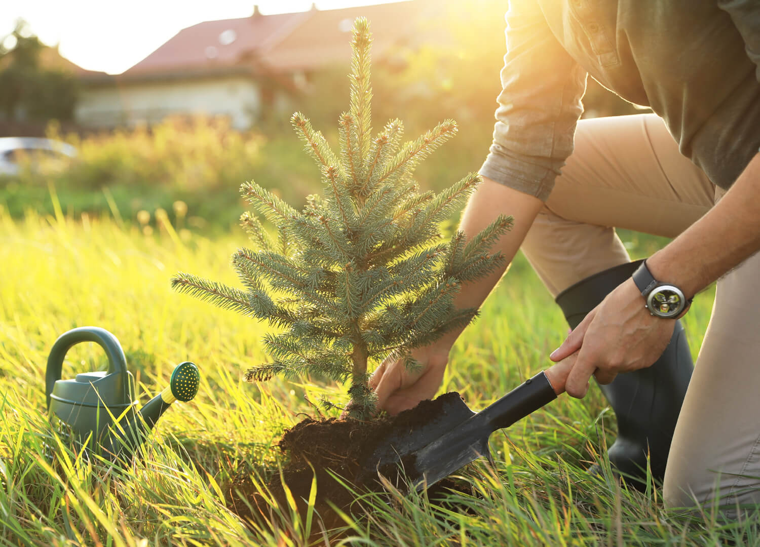 Home-Decor-and-Garden